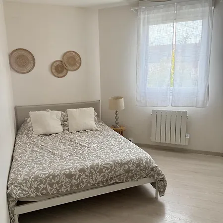 Confort Dijon